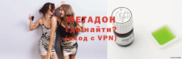 прущие грибы Вязники