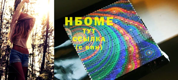 прущие грибы Вязники
