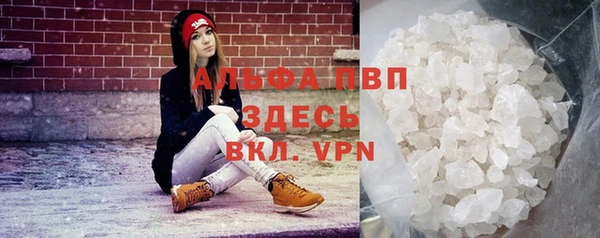 прущие грибы Вязники